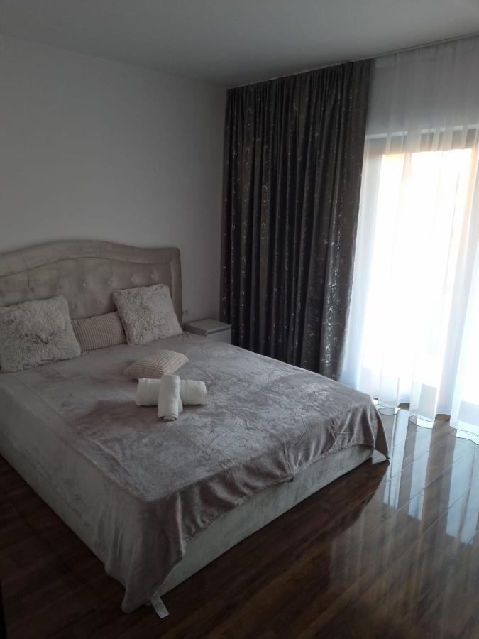 Izabella Guest House Săcele Εξωτερικό φωτογραφία