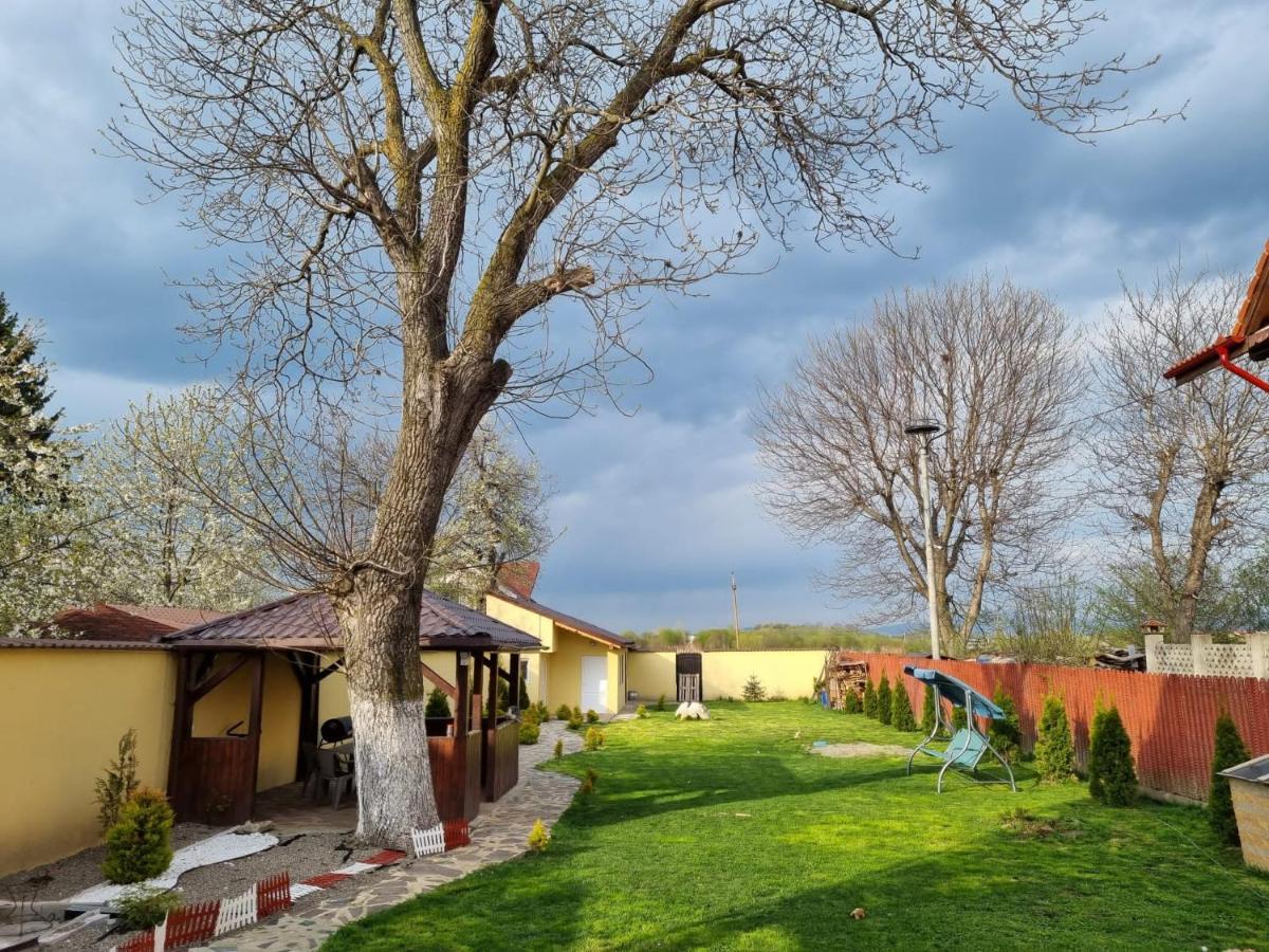 Izabella Guest House Săcele Εξωτερικό φωτογραφία