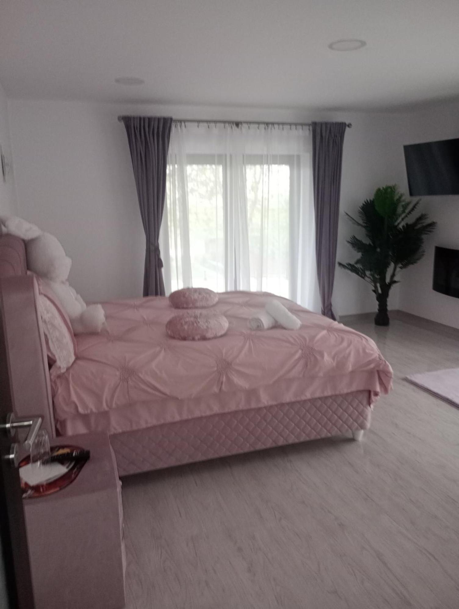 Izabella Guest House Săcele Εξωτερικό φωτογραφία