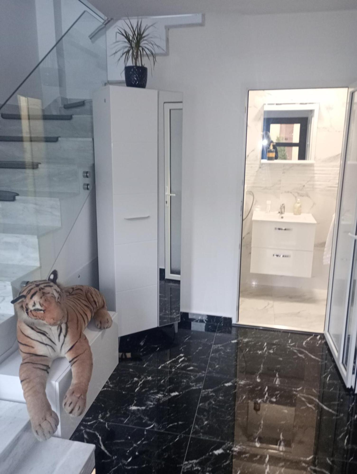 Izabella Guest House Săcele Εξωτερικό φωτογραφία