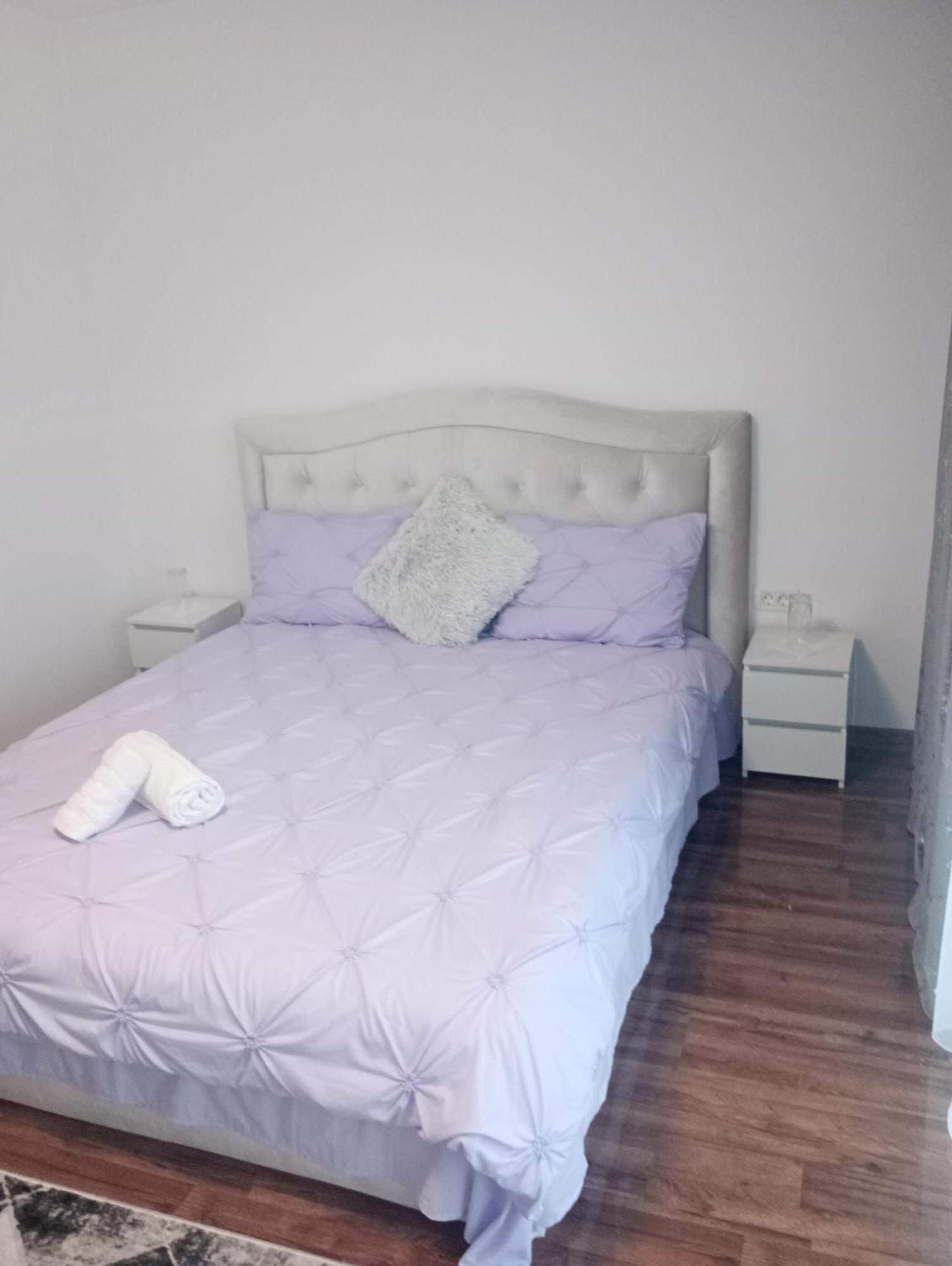 Izabella Guest House Săcele Εξωτερικό φωτογραφία