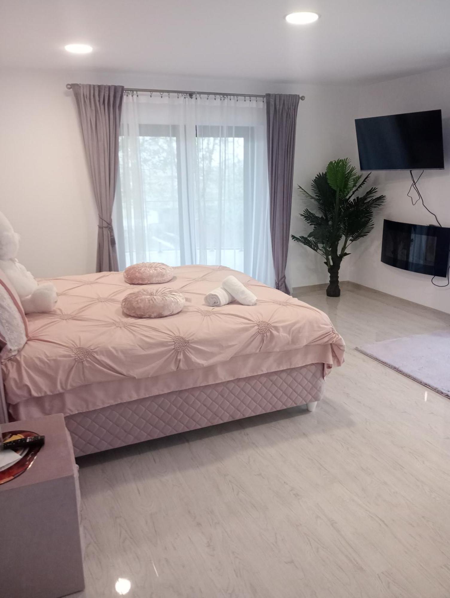 Izabella Guest House Săcele Εξωτερικό φωτογραφία